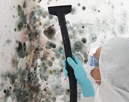 Environmental Consulting for Mold Prevention in Dumbarton, VA